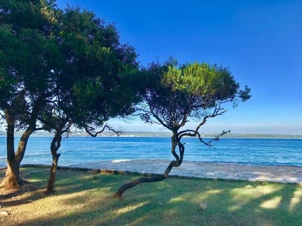 Seaside Bamboo - Fazana